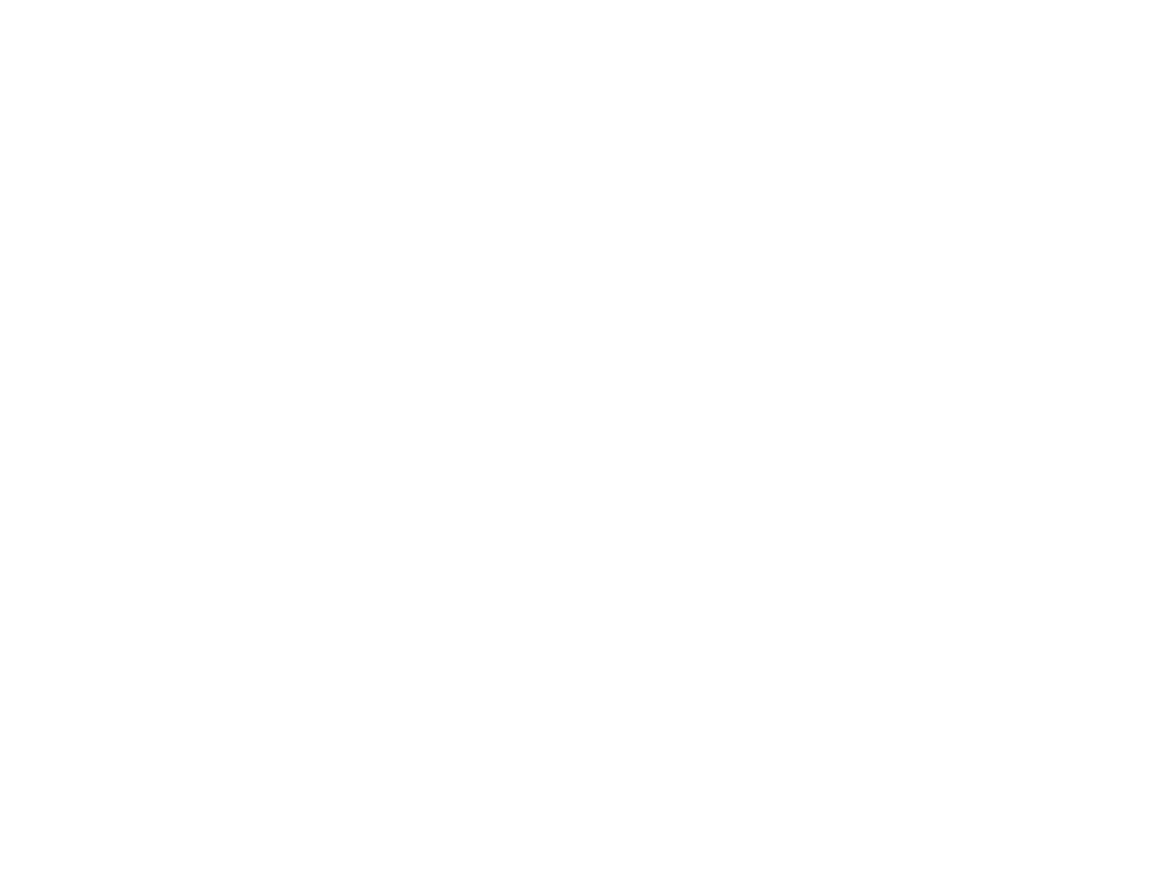 FFIRE AG Logo