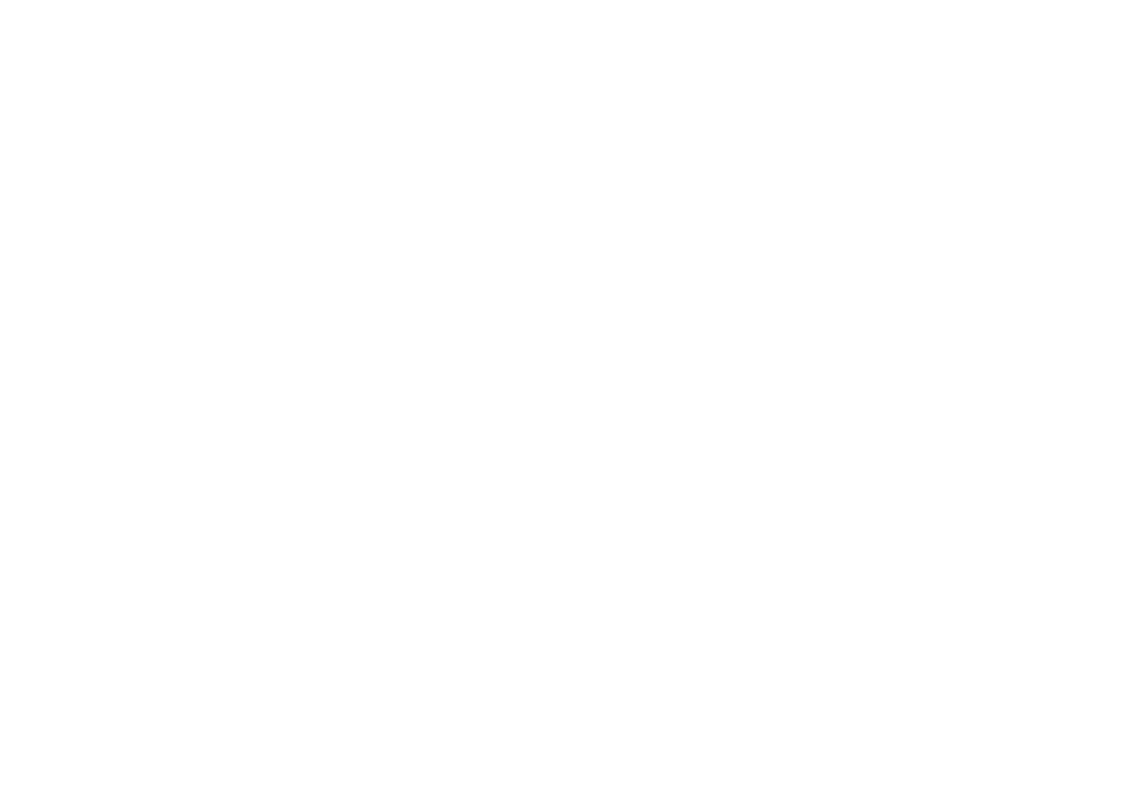 S.Schmidt & W.Schmidt GmbH Logo