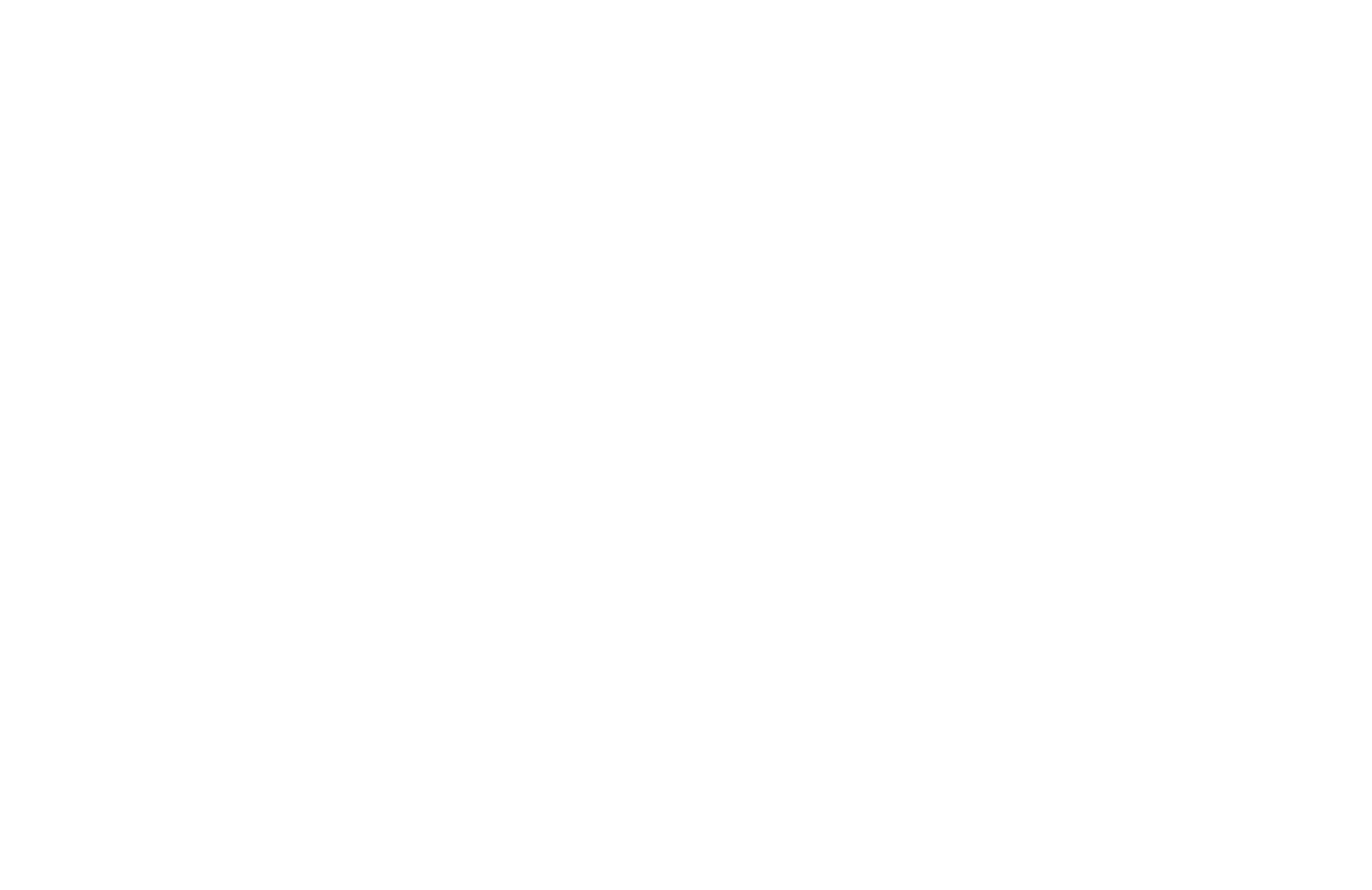 VINCI Logo